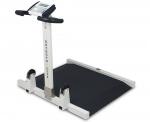 Detecto, 6550, Wheelchair Scale, Patient Scales